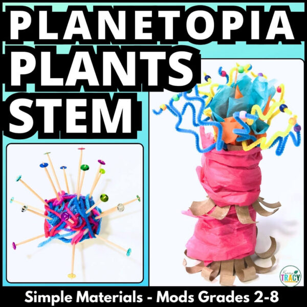 PLANETOPIA PLANTS STEM ACTIVITY never before seen plant design made from craft materials