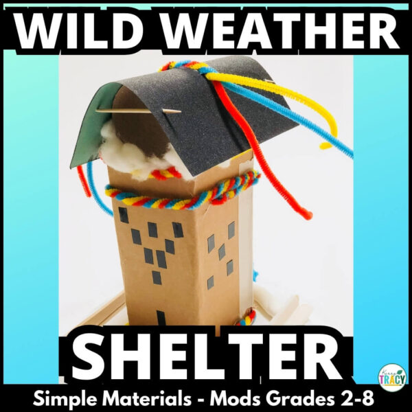 Wild WEATHER & Natural Disaster STEM ACTIVITY- design made from craft materials