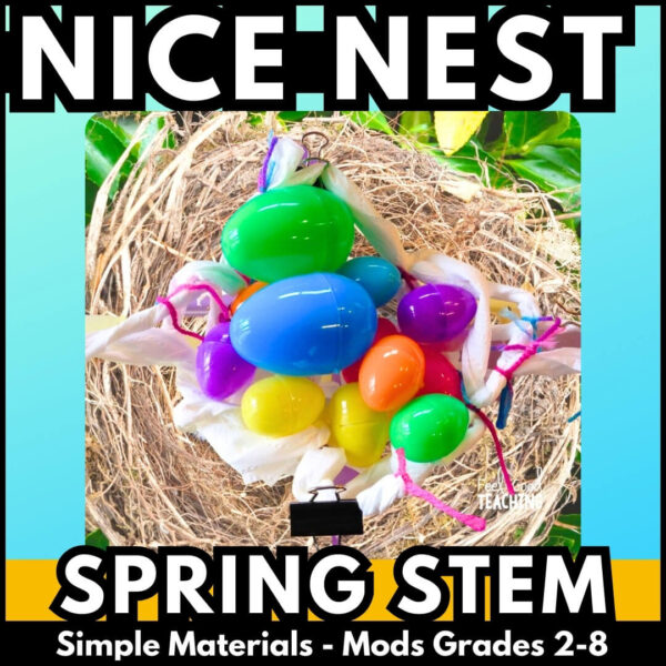 SPRING STEM NICE NEST - plastic Easter egg activity