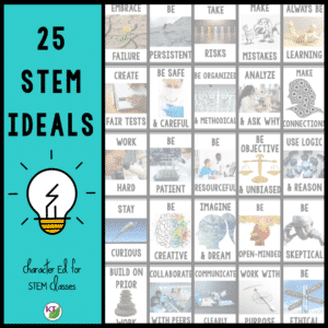 STEM Ideals